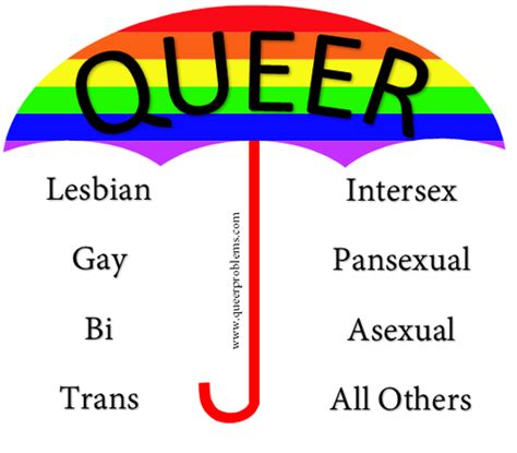 Queer Definition & Meaning .